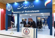 Specialized economic exhibition of Iran opened in Turkmenistan