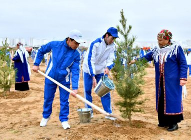 В 2023 году в Туркменистане высадят 3 миллиона саженцев деревьев