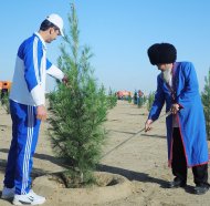 Фоторепортаж: в Туркменистане прошла общенациональная акция по посадке деревьев 