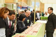 Photo report: Ashkhabad reviewed achievements of the Turkmen agro-industrial complex and innovations in seed production