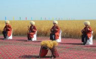 Фоторепортаж: В Дашогузском и Балканском велаятах началась уборка урожая зерновых