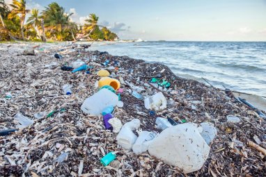 Niderland inženerleri deňzi plastikden arassalamagyň täze usuly bilen tanyşdyrdylar