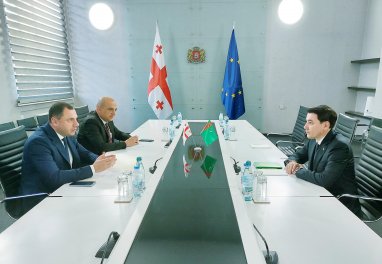 Ambassador of Turkmenistan in Georgia met with Minister of Education, Science and Youth of Georgia