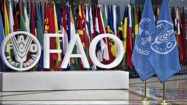 Туркменистан и региональная структура FAO подписали документы о сотрудничестве