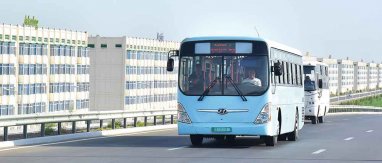 «Лебапавтоулаг» приглашает водителей автобусов и грузовиков на работу в Туркменабат