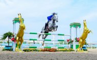 Фоторепортаж: в Ашхабаде прошли соревнования по конкуру