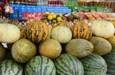 Turkmenistan plans to receive an international certificate of voluntary certification of agricultural products