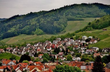 Хорватский город Леград продает дома по 13 евроцентов