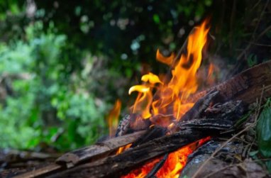 На Канарах продолжаются лесные пожары, население пострадавших районов эвакуировано