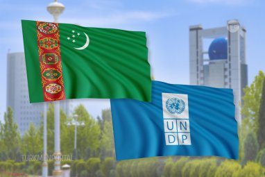 UNDP in Turkmenistan announces the sale of cars