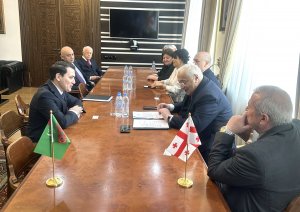 Türkmenistan'ın Gürcistan Büyükelçisi, Gürcistan Teknik Üniversitesi Rektörü ile görüştü