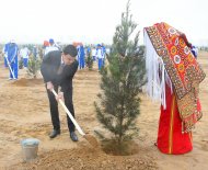 Fotoreportaž: Türkmenistanda 1 million 600 müň düýpden gowrak bag ekildi