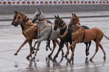 Arkadağ şehrinde, Türkmen atlarına yönelik bilimsel konferans düzenlendi