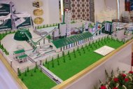 Фоторепортаж с выставки в честь 30-летия независимости Туркменистана
