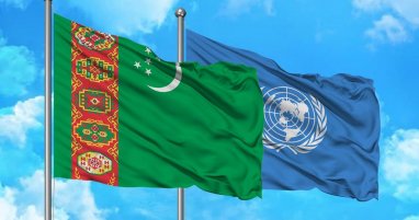 An initiative was put forward to create a Strategic Advisory Council "Turkmenistan-UN"