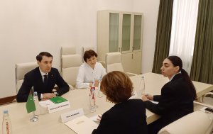 Ambassador of Turkmenistan in Georgia met with the Chairperson of the Culture Committee of the Parliament of Georgia 