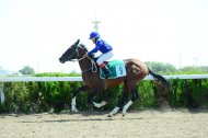 Фоторепортаж: В Туркменистане начался осенний сезон конных скачек