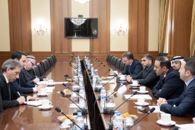 Делегация ОАЭ провела переговоры с руководителями министерств и ведомств Туркменистана