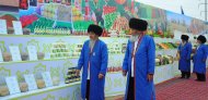 Fotoreportaž: Türkmenistanyň dört welaýatynda gowaça ekişine girişildi