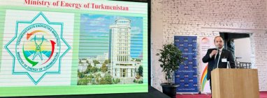 Turkmenistan took part in the energy investment forum of the CAREC program