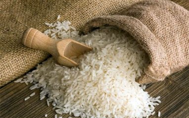 Более 47 тысяч тонн риса соберут рисоводы Лебапского велаята Туркменистана