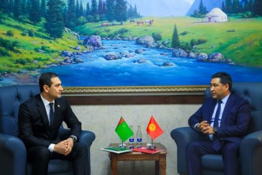 Minister of Economy and Commerce of Kyrgyzstan and Ambassador of Turkmenistan held a meeting