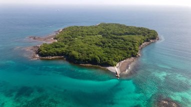 Hide and seek competition will be held on a deserted Japanese island