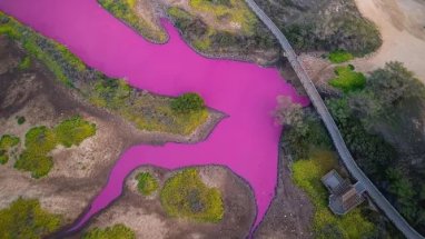 Hawaiian water turns purple