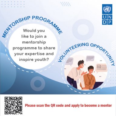 UNDP in Turkmenistan invites volunteer mentors to cooperate