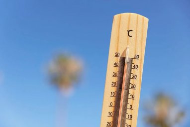 На американский штат Аризона обрушилась аномальная жара