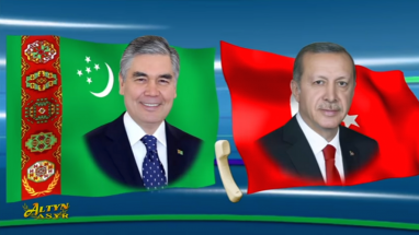 Gurbanguly Berdimuhamedov discussed prospects of Turkmen-Turkish cooperation with Erdogan
