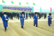 Фоторепортаж: в четырёх велаятах Туркменистана приступили к севу хлопчатника