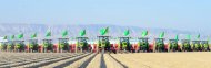 Photoreport: sowing of winter wheat has been started in all velayats of Turkmenistan