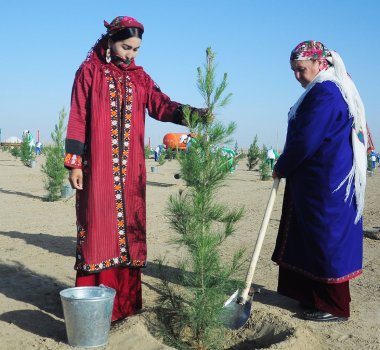 Photoreport: a nationwide tree planting campaign was held in Turkmenistan