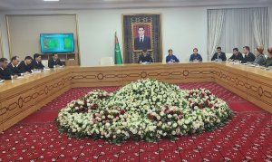 В Меджлисе Туркменистана прошло заседание Группы молодых парламентариев