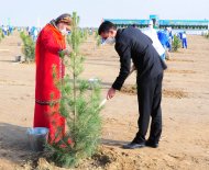 Photos: Tree planting campaign was held in Turkmenistan