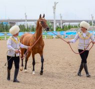 Фоторепортаж с международного конкурса красоты по случаю национального дня туркменского скакуна