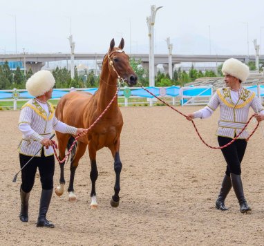 Photoreport from the international beauty contest on the occasion of the national day of the Turkmen horse
