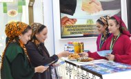 The exhibition of economic achievements of Turkmenistan continues in Ashgabat