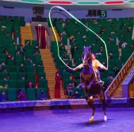 В госцирке Туркменистана прошло представление в честь национального праздника туркменского скакуна 