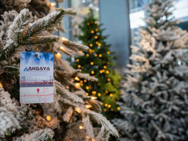 Ak Gaýa has received artificial Christmas trees