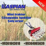 Kaspian Saly Oryan Mini Traktor