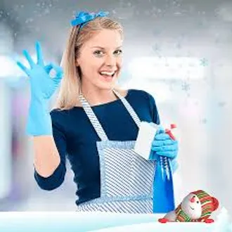  Девушка предлагаю услуги по уборке помещений 
