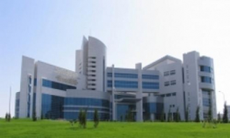 Международный центр перинатологии и гинекологии "Эне Мяхри"