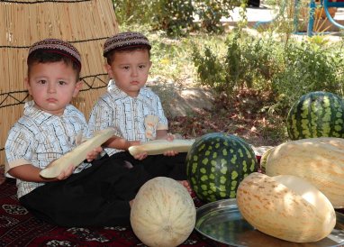 The symbol of the Turkmen summer is melon: a few facts about the “Queen of gourds”