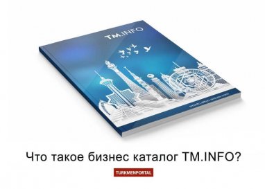 Что такое бизнес каталог TM.INFO?