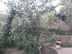 планов дом в Магтымгулы,  8соток