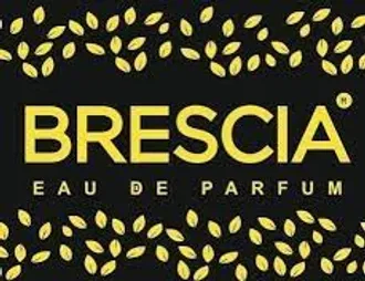 BRESCIA  Trade company - Торговый представитель