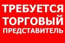 Вакансия : ТОРОГОВЫЙ ПРЕДСТАВИТЕЛЬ - Торговый представитель